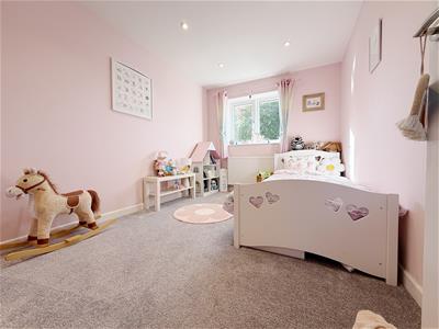 Picture 22